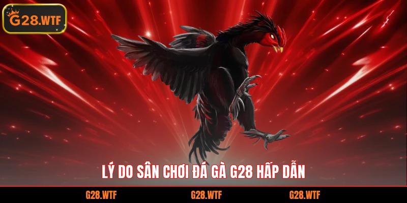 Lý do sân chơi đá gà G28 hấp dẫn